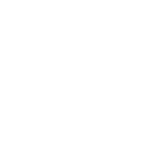wellness 1